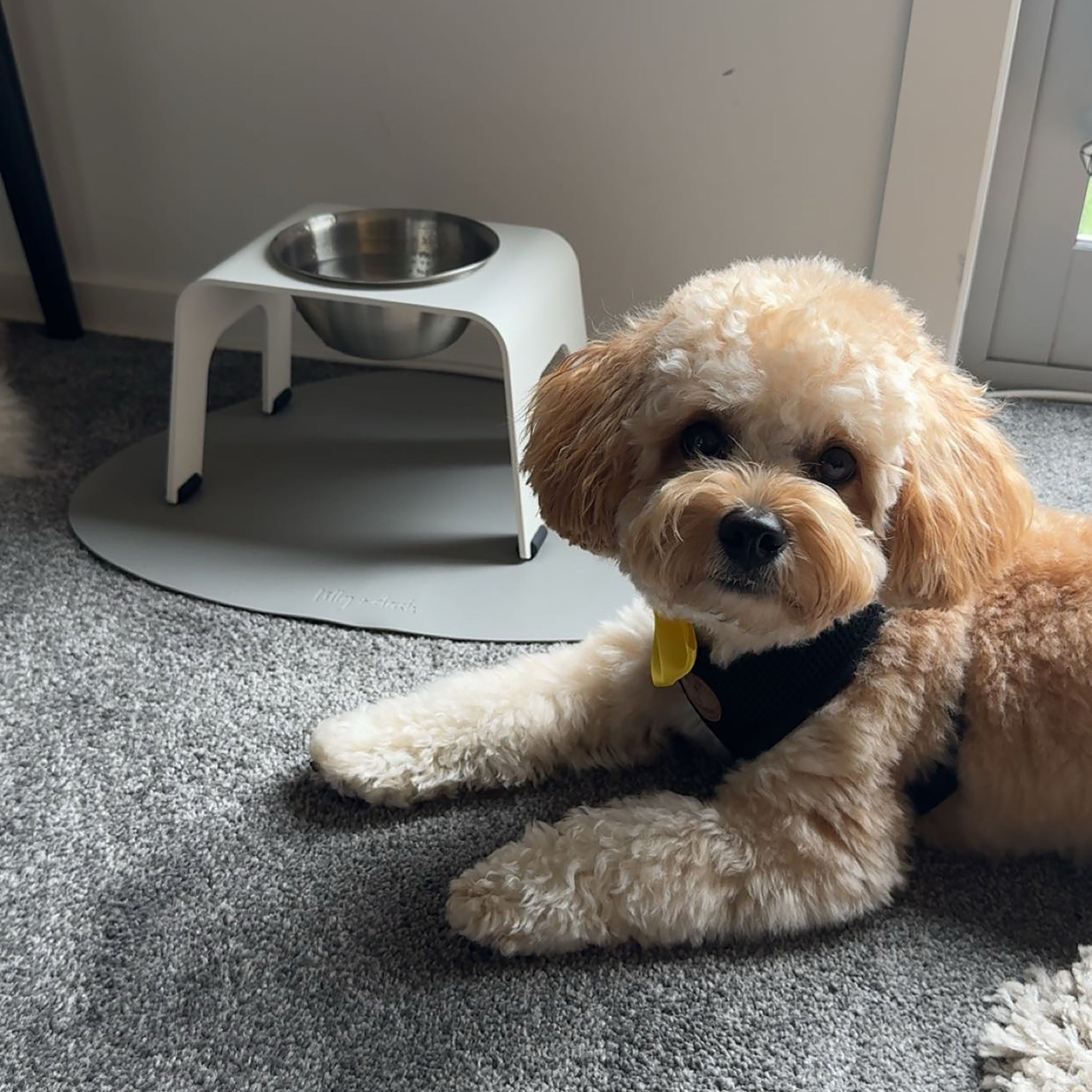 ARCHIE