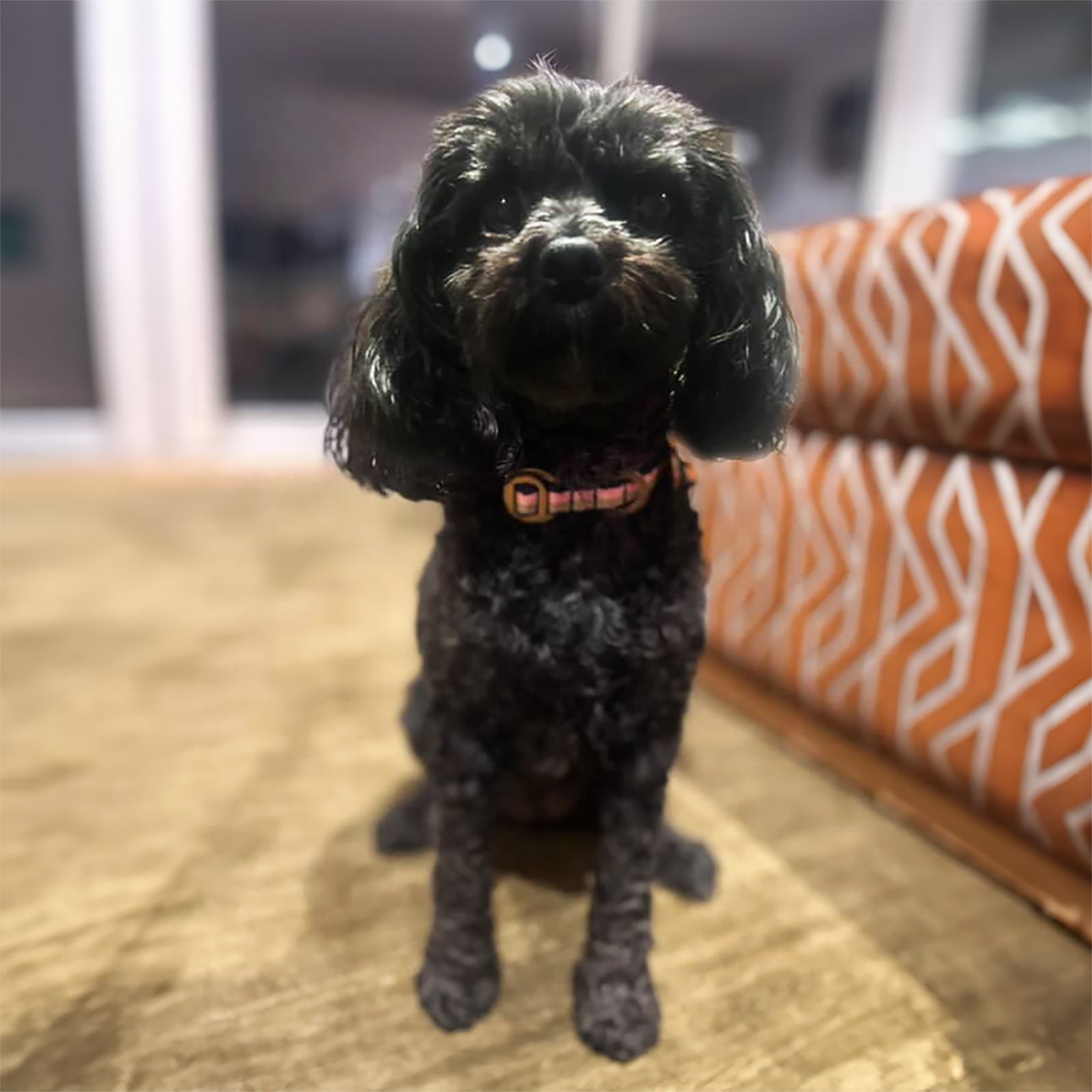 CLARA