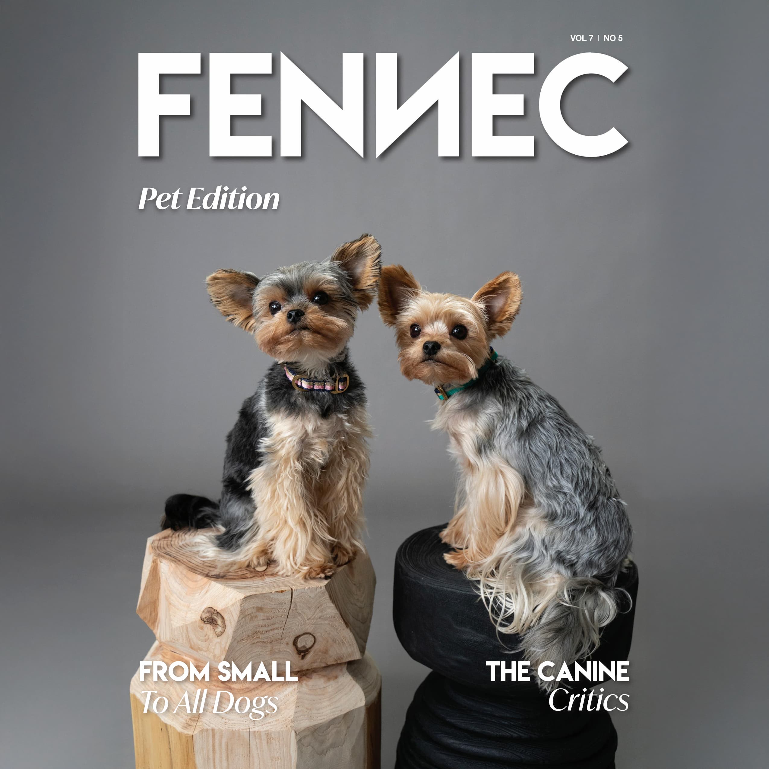 FENNEC PET EDITION