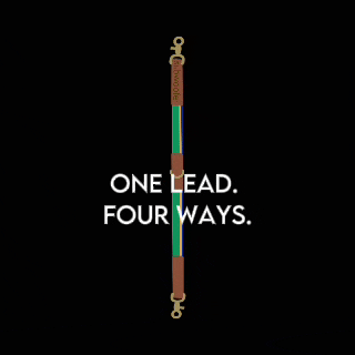 HOW TO USE THE TAKAPUNA LEAD