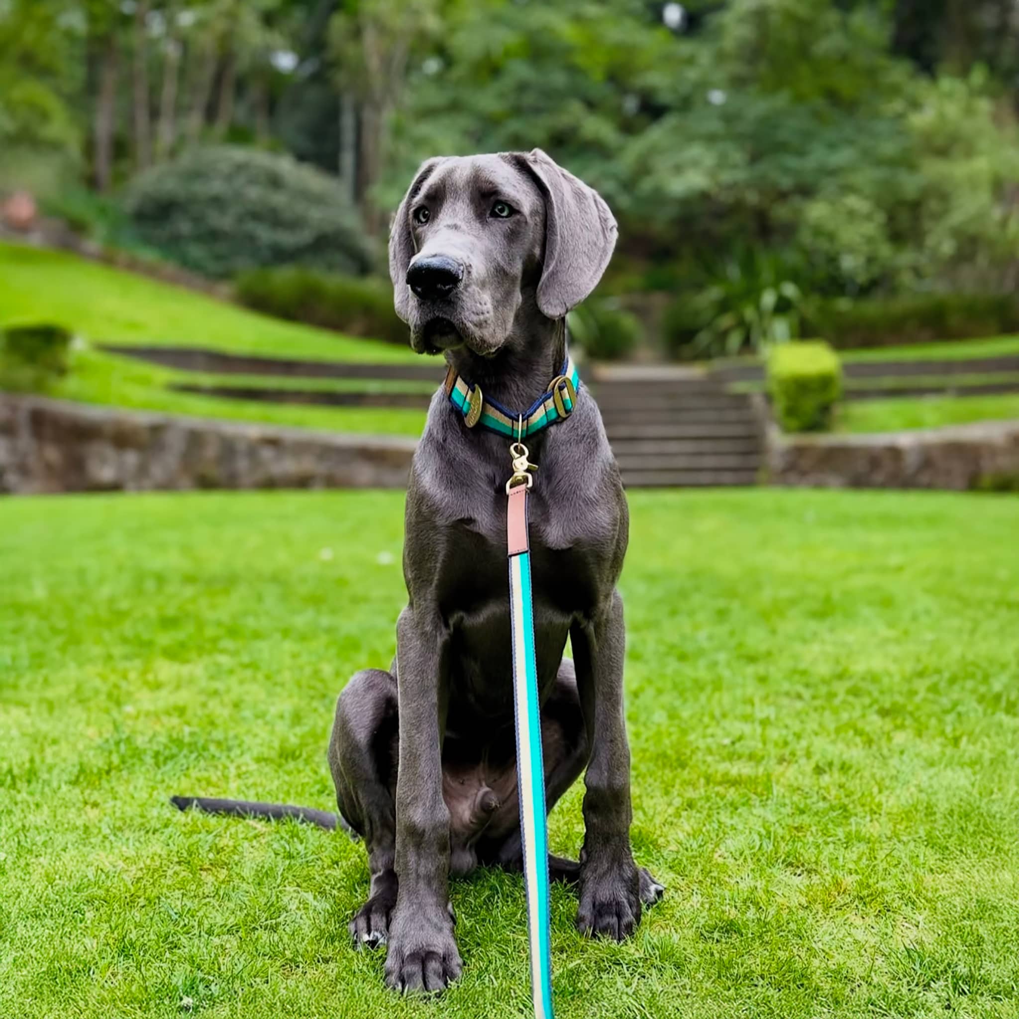 SIR BRUCE