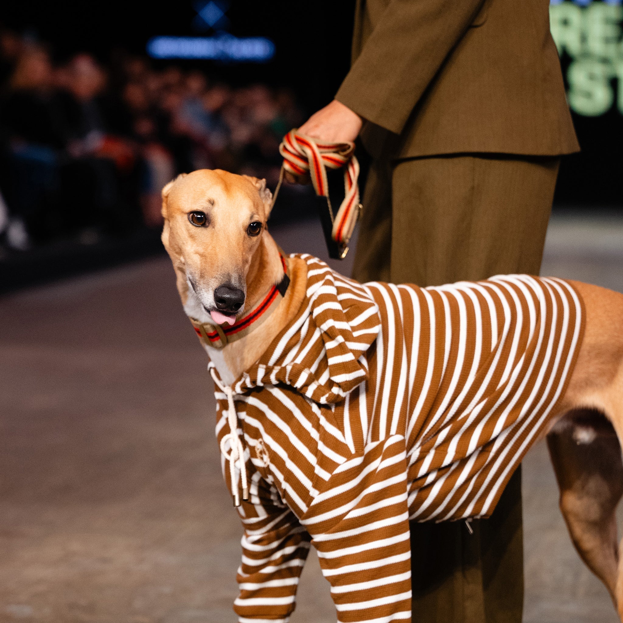NZ FASHION WEEK 2025: STYLE WITH HEART