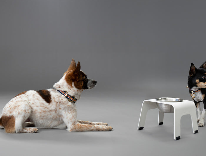 BLACK FRIDAY SALE UP TO 50% OFF