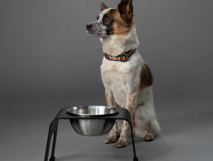 BLACK FRIDAY SALE UP TO 50% OFF