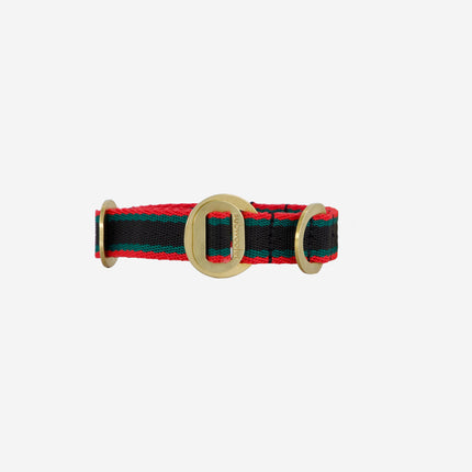subwooferdog-clear-cut-collar-viewed-straight-on-with-red-black-and-green-stripe-and-brass-closure