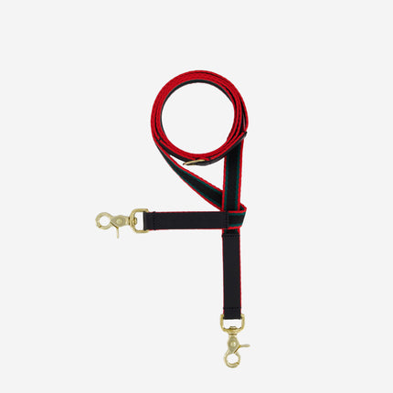 subwooferdog-clearcut-overhead-view-of-black-red-and-green-striped-dogs-leash