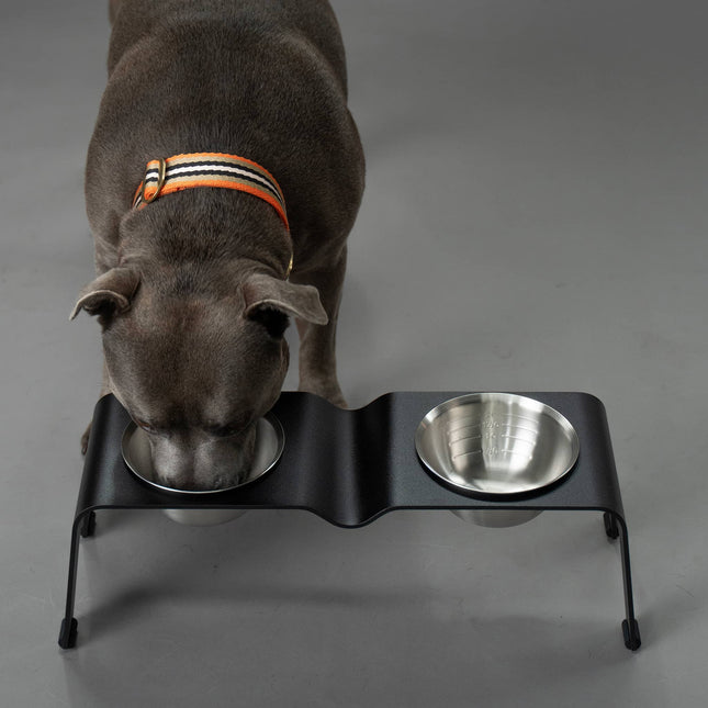 ŌHOPE elevated pet bowl duo - Black ®