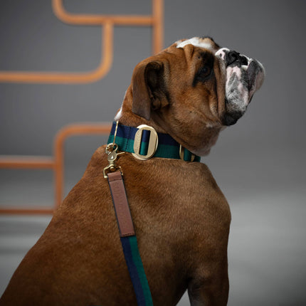Takapuna Dog Leash - Navy Forest