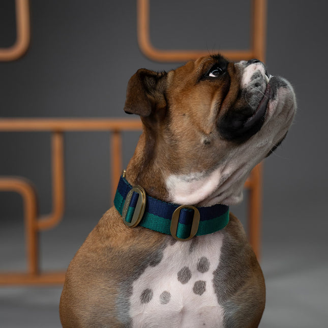 PIHA Dog Collar Large - Navy Forest ®