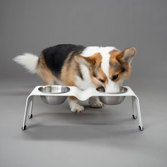 ŌHOPE elevated pet bowl duo - Small White ®