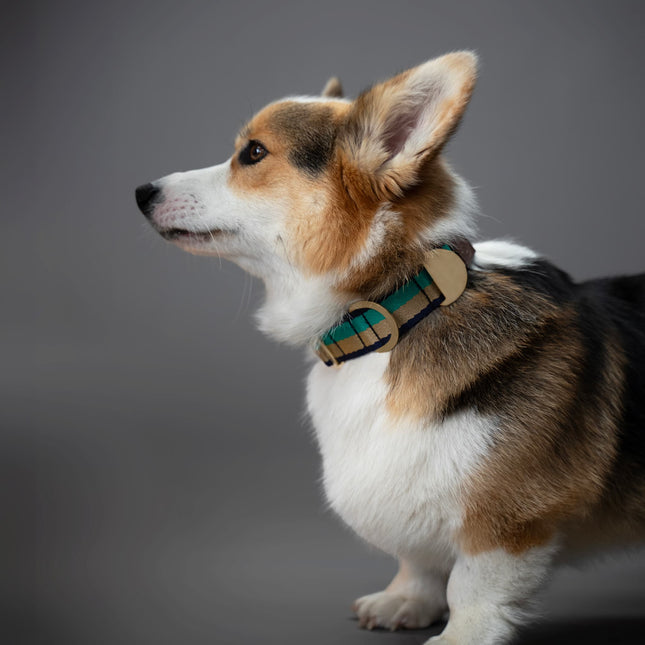 PIHA Dog Collar Large - Emerald Sand ®