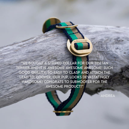 PIHA Dog Collar 20mm - Emerald Sand ®