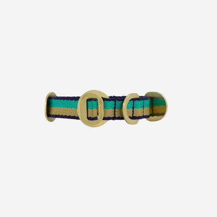 subwooferdog-view-straight-on-of-green-and-sand-collar-with-stamped-brashardware