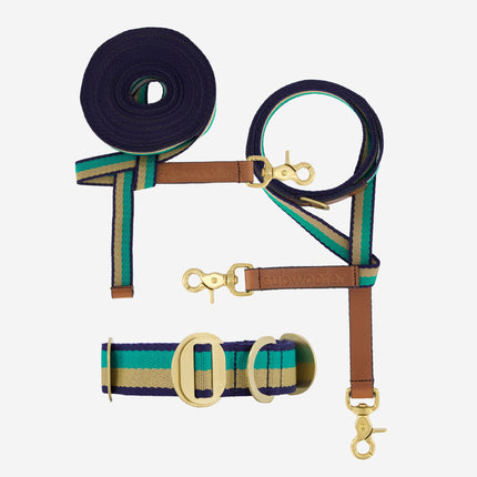 Explorer Set - Collar + Lead + Long Line Large