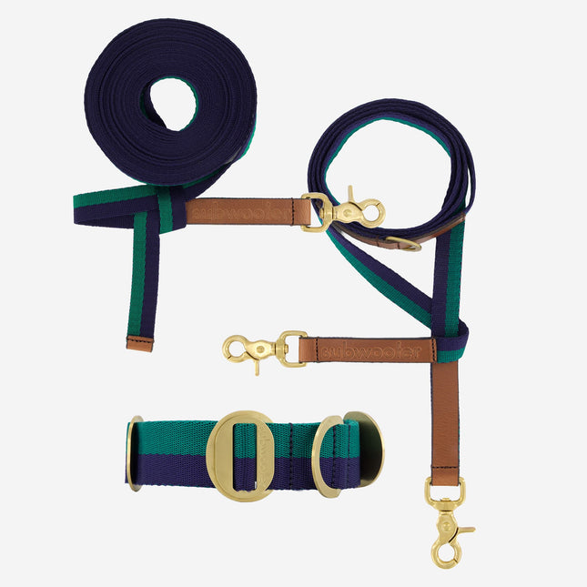 Explorer Set - Collar + Lead + Long Line Large