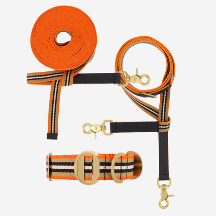 Explorer Set - Collar + Lead + Long Line Large