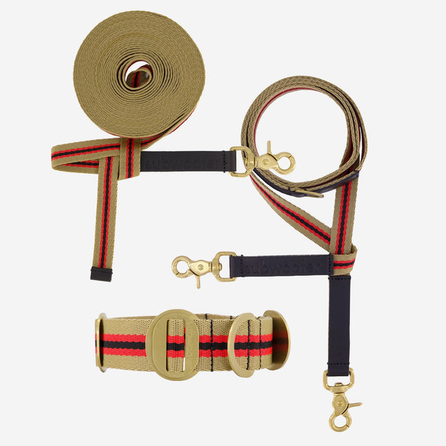 Explorer Set - Collar + Lead + Long Line Large