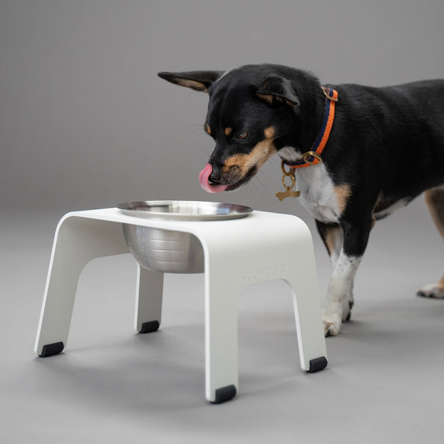 ŌHOPE elevated pet bowl - Small White ®