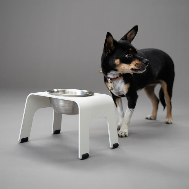 ŌHOPE elevated bowl - White ®