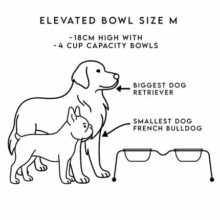 ŌHOPE elevated pet bowl duo - White ®