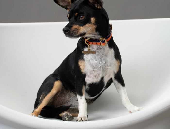 BLACK FRIDAY SALE UP TO 50% OFF