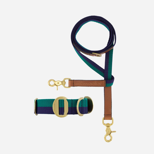 Starter Set - Collar + Lead Large