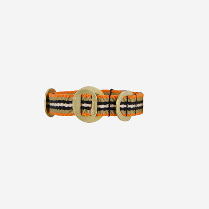 subwooferdog-face-on-view-orange-sand-black-and-cream-stripe-collar-with-polished-brass-hardware