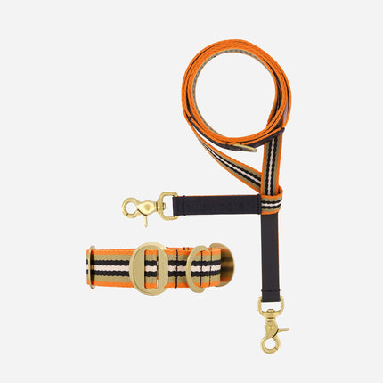 Starter Set - Collar + Lead 35mm