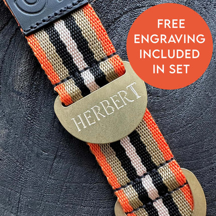 Starter Set - Collar + Lead Large