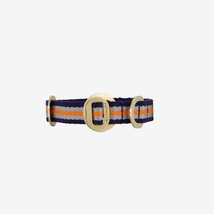 subwooferdog-navy-silver-and-orange-stripe-clear-cut-collar-with-polished-brass-hardware-viewed-straight-on