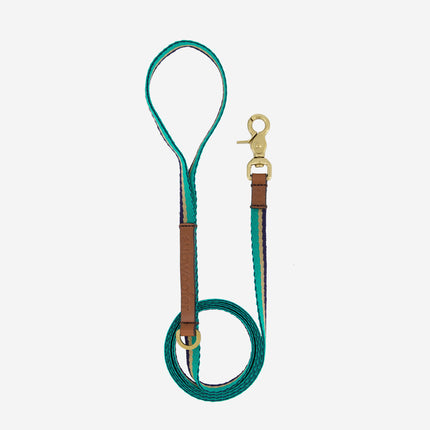 Papamoa Dog Leash 14mm - Emerald Sand