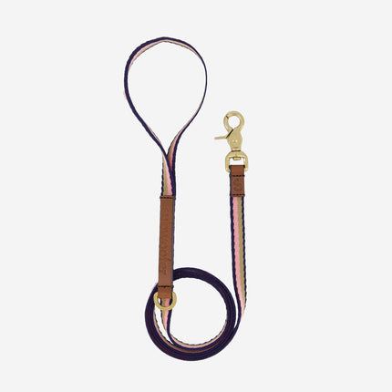 Papamoa Dog Leash 14mm - Pink Sand