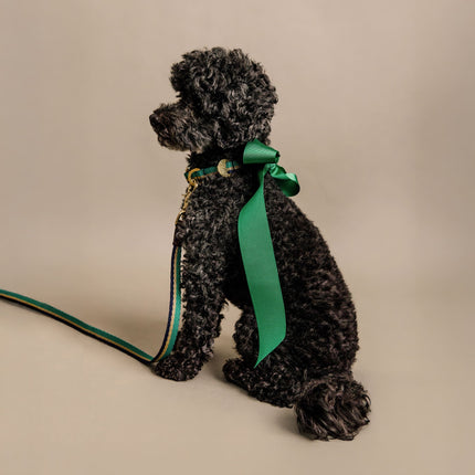 Papamoa Dog Leash 14mm - Emerald Sand