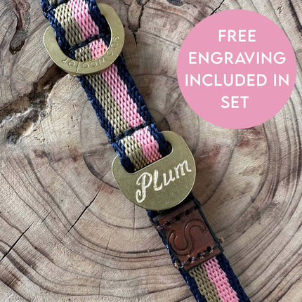 Starter Set - Collar + Lead Tiny