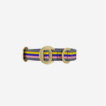 subwooferdog-clear-cut-straight-on-view-of-pink-yellow-blue-and-grey-striped-collar-with-polished-brass-hardware