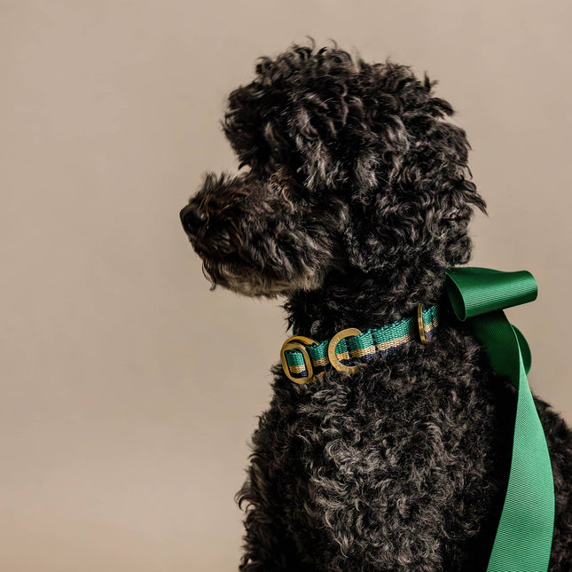 PIHA Dog Collar 14mm - Emerald Sand ®