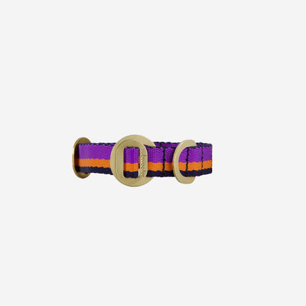 subwooferdog-clear-cut-bright-purple-orange-and-navy-stripe-collar-with-stamped-polished-brass-hardware
