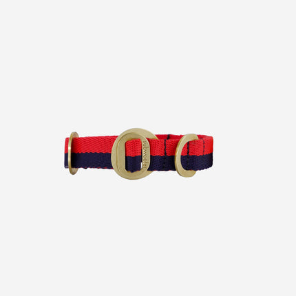 subwooferdog-clear-cut-view-straight-on-red-and-navy-stripe-collar-with-polished-brass-hardware