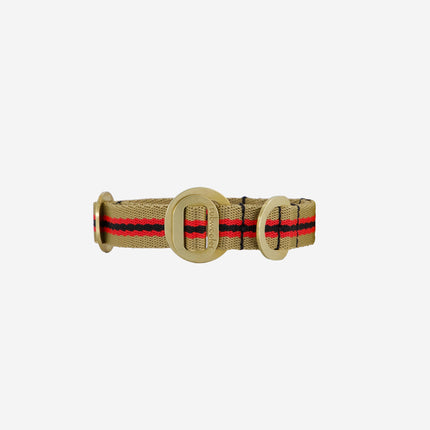 subwooferdog-straight-on-view-of-clear-cut-sand-red-and-black-collar-with-polished-brass-hardware