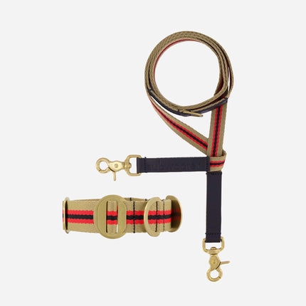 Starter Set - Collar + Lead Large
