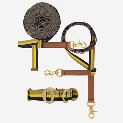 Explorer Set - Collar + Lead + Long Line Small