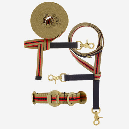 Explorer Set - Collar + Lead + Long Line 20mm