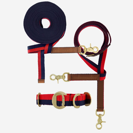 Explorer Set - Collar + Lead + Long Line Small