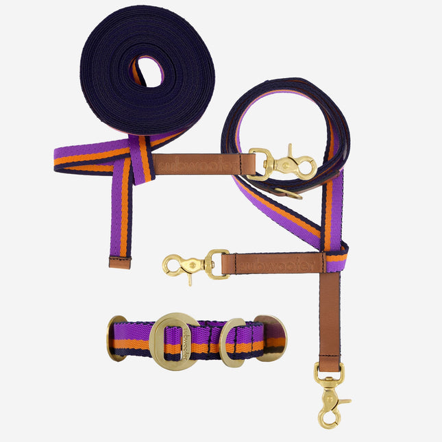 Explorer Set - Collar + Lead + Long Line Small