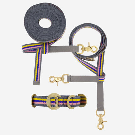 Explorer Set - Collar + Lead + Long Line Small