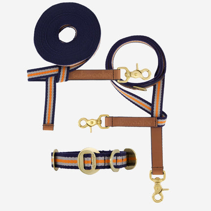 Explorer Set - Collar + Lead + Long Line Small