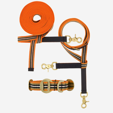 Explorer Set - Collar + Lead + Long Line Small