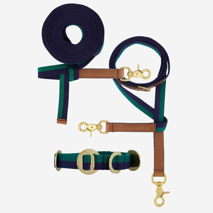 Explorer Set - Collar + Lead + Long Line Small