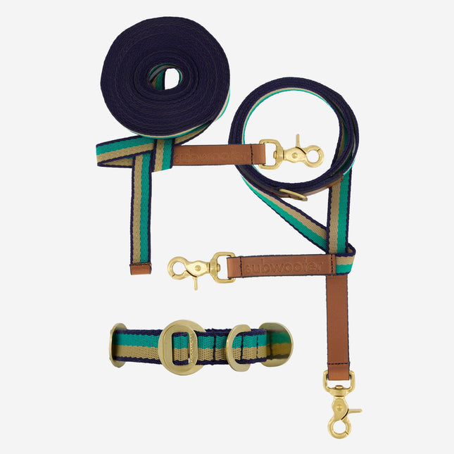 Explorer Set - Collar + Lead + Long Line Small