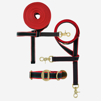 Explorer Set - Collar + Lead + Long Line Small